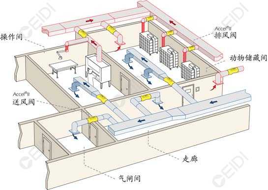 動物房潔凈室空調(diào)設計：開放式籠架具屏障環(huán)境送回風設計要點  CEIDI西遞